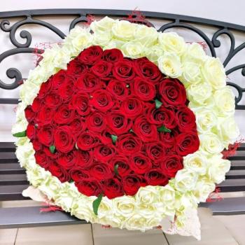 Букет 101 красно-белая роза (артикул букета  152308che)