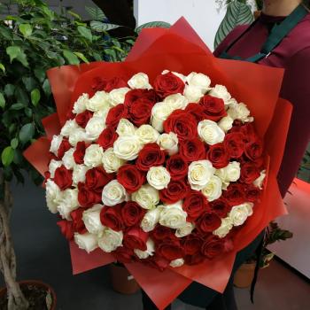 Букет из 101 розы (красные и белые розы) код товара - 88868chel