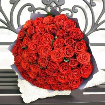 Букет Красная роза Эквадор 51 шт [Артикул  154908chb]