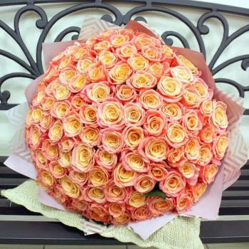 Букет Оранжевые розы Эквадор 101 шт (50 см) articul: 155272chel